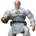 Invincible Wave 1 Conquest 6-Inch Scale Action Figure