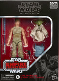 Star Wars 6" Black Series Luke Skywalker Dagobah & Yoda