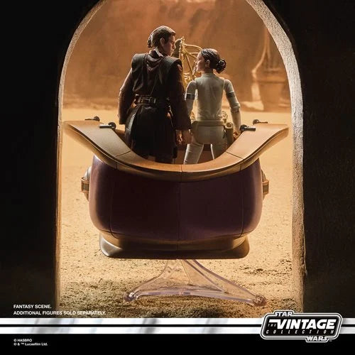 Star Wars: The Vintage Collection Orray & Geonosian Picador