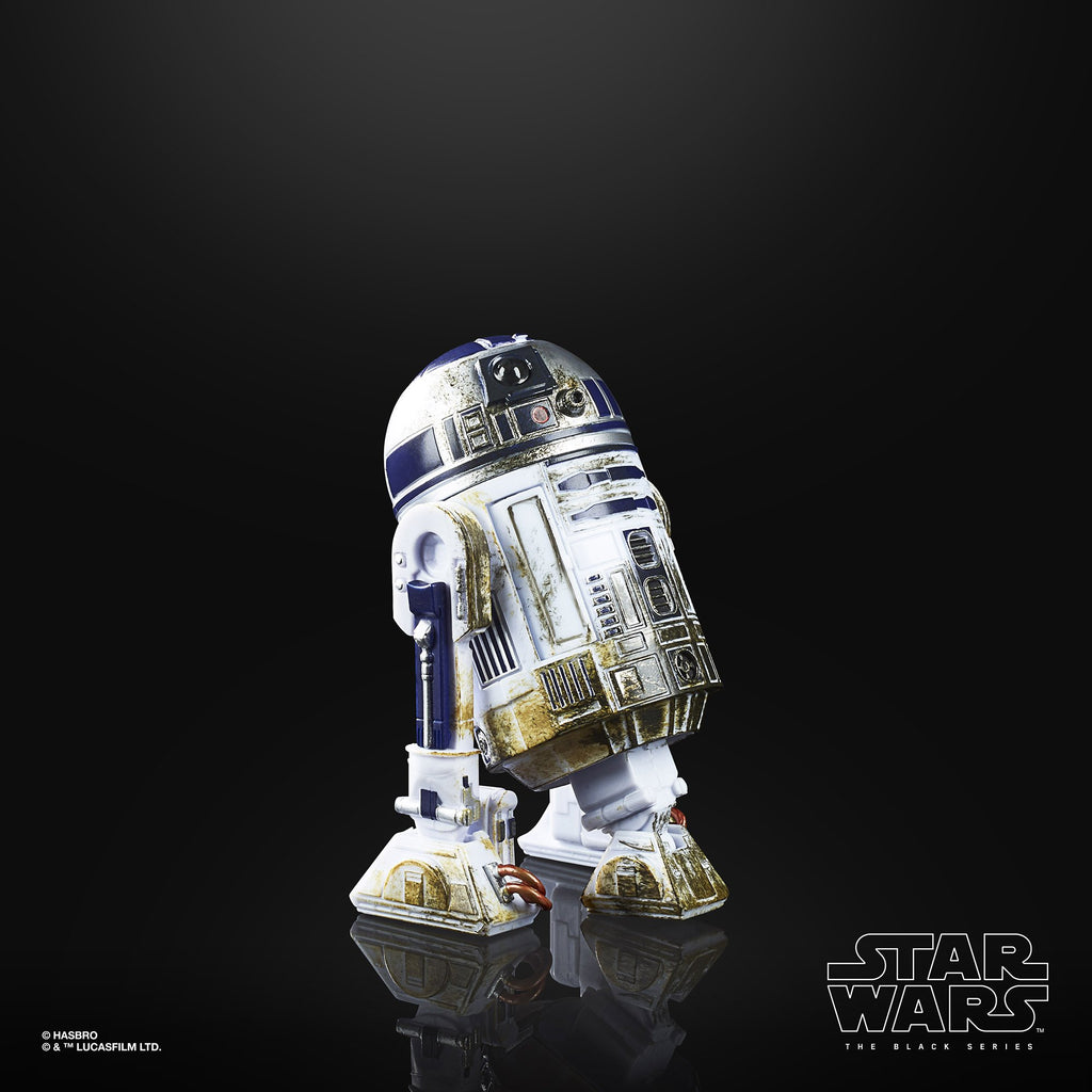 Star Wars The Black Series Artoo-detoo (R2-D2) (Dagobah)