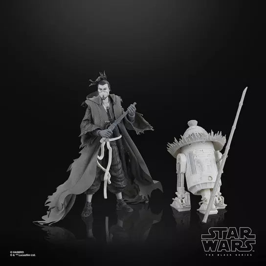 STAR WARS The Black Series The Ronin & R5-D56, Visions Premium Collectible 6 Inch Action Figure 2-Pack