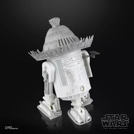 STAR WARS The Black Series The Ronin & R5-D56, Visions Premium Collectible 6 Inch Action Figure 2-Pack