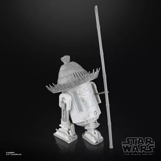 STAR WARS The Black Series The Ronin & R5-D56, Visions Premium Collectible 6 Inch Action Figure 2-Pack